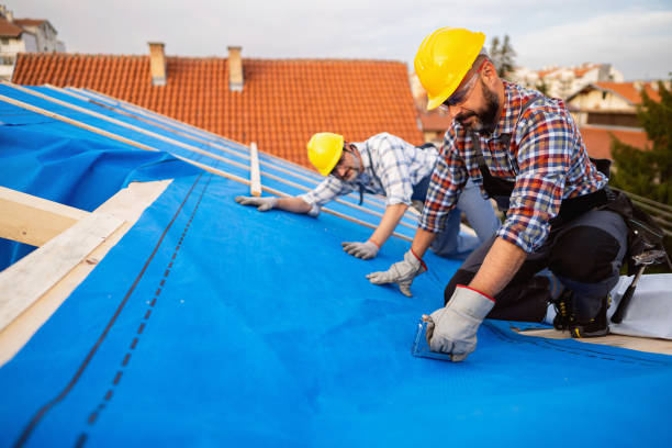 Best Roof Gutter Cleaning  in Woodlands, CA